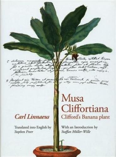 Musa Cliffortiana: Clifford's Banana Plant (2007)<br />Carl Linnaeus, with an introduction by <a href='http://socialsciences.exeter.ac.uk/sociology/staff/mueller-wille/'>Staffan Müller-Wille</a>