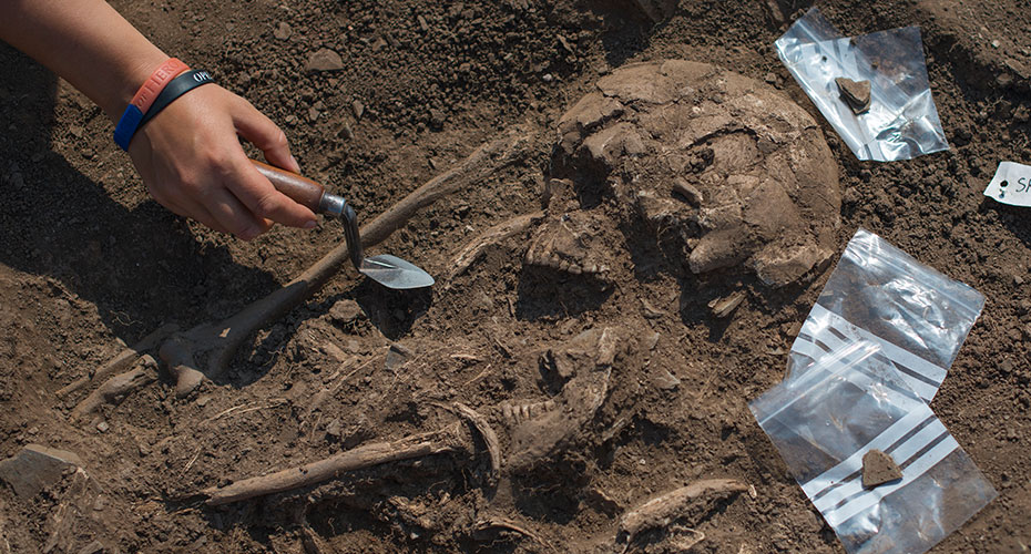 Fieldwork | Archaeology | University of Exeter